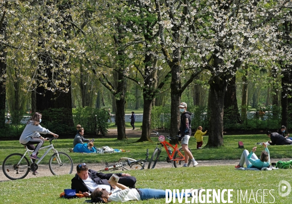 Sous les cerisiers en fleurs du parc de Sceaux