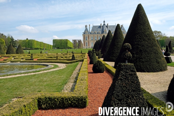 Sous les cerisiers en fleurs du parc de Sceaux