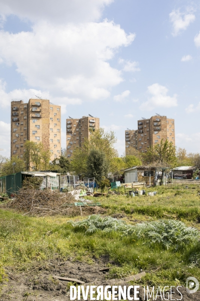 Les jardins des vertus