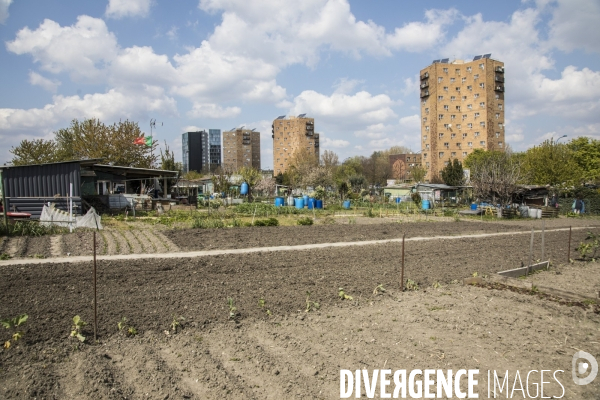 Les jardins des vertus