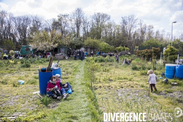 Les jardins des vertus