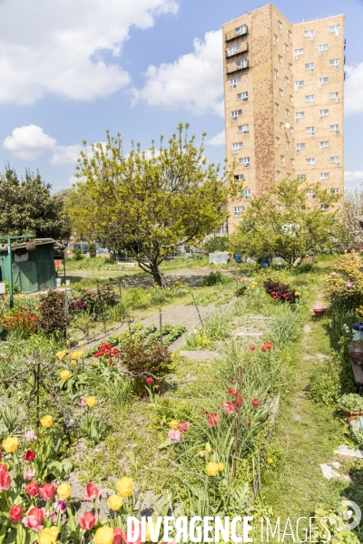 Les jardins des vertus