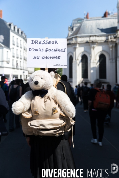 Manifestation contre la réforme de l assurance chômage