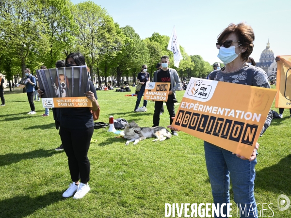 Journée mondiale des animaux dans les laboratoires, organisée par One Voice. Animal protection against animal testing.