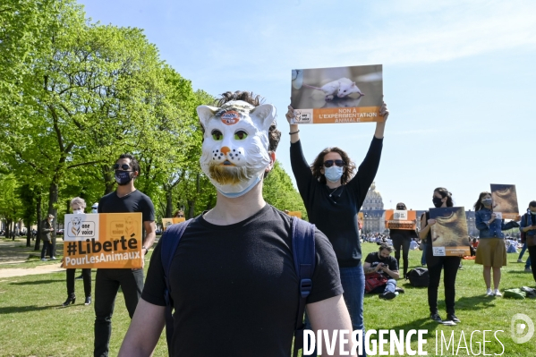 Journée mondiale des animaux dans les laboratoires, organisée par One Voice. Animal protection against animal testing.