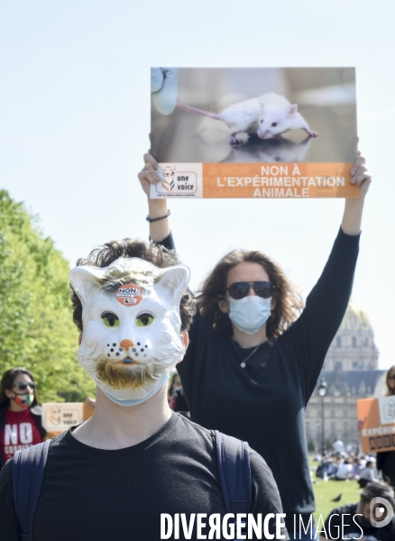 Journée mondiale des animaux dans les laboratoires, organisée par One Voice. Animal protection against animal testing.