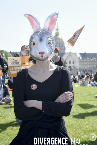 Journée mondiale des animaux dans les laboratoires, organisée par One Voice. Animal protection against animal testing.