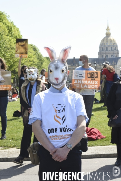 Journée mondiale des animaux dans les laboratoires, organisée par One Voice. Animal protection against animal testing.