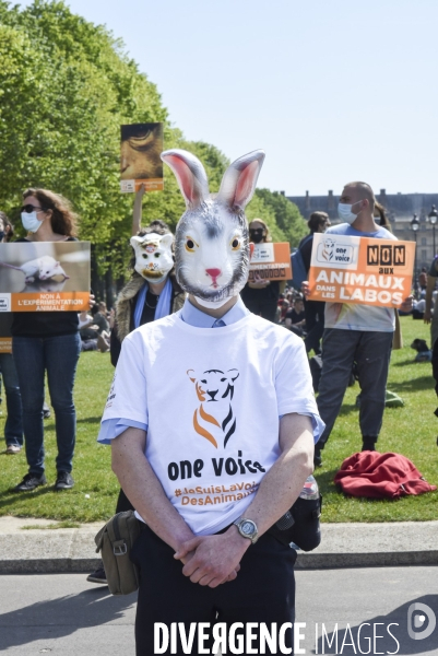 Journée mondiale des animaux dans les laboratoires, organisée par One Voice. Animal protection against animal testing.