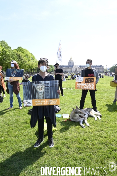 Journée mondiale des animaux dans les laboratoires, organisée par One Voice. Animal protection against animal testing.