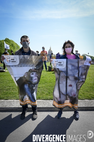Journée mondiale des animaux dans les laboratoires, organisée par One Voice. Animal protection against animal testing.