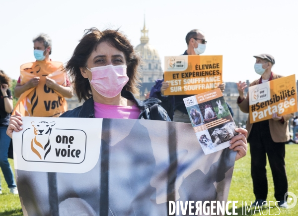 Journée mondiale des animaux dans les laboratoires, organisée par One Voice. Animal protection against animal testing.