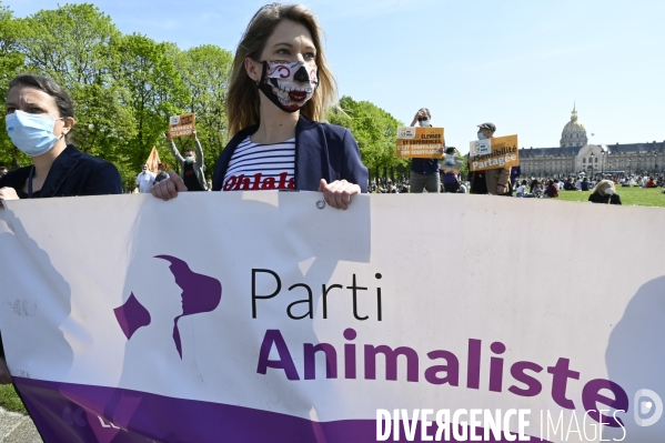 Journée mondiale des animaux dans les laboratoires, organisée par One Voice. Animal protection against animal testing.