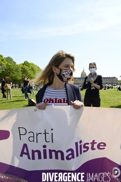 Journée mondiale des animaux dans les laboratoires, organisée par One Voice. Animal protection against animal testing.