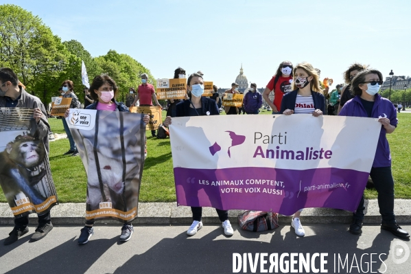 Journée mondiale des animaux dans les laboratoires, organisée par One Voice. Animal protection against animal testing.