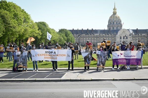 Journée mondiale des animaux dans les laboratoires, organisée par One Voice. Animal protection against animal testing.