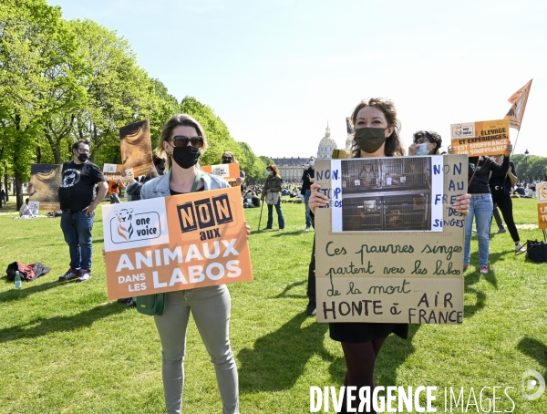 Journée mondiale des animaux dans les laboratoires, organisée par One Voice. Animal protection against animal testing.