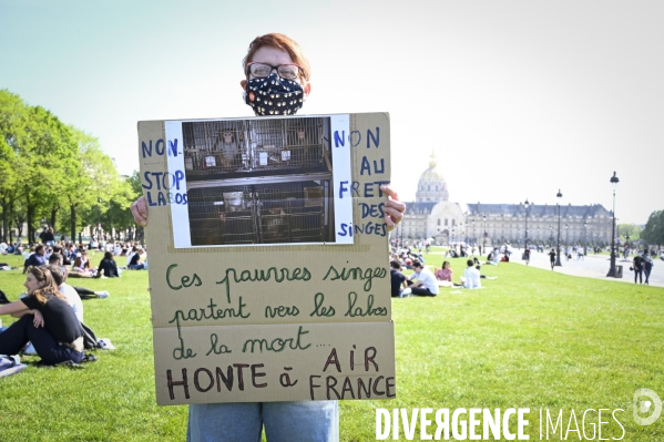 Journée mondiale des animaux dans les laboratoires, organisée par One Voice. Animal protection against animal testing.