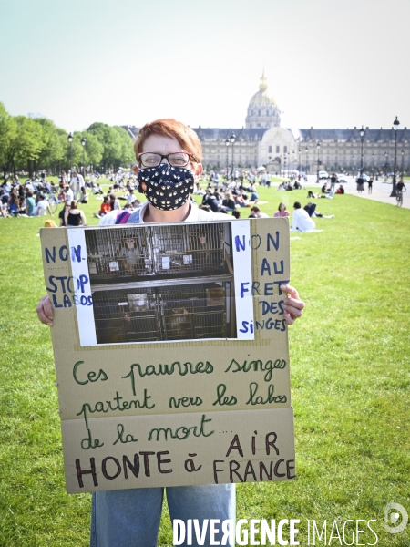 Journée mondiale des animaux dans les laboratoires, organisée par One Voice. Animal protection against animal testing.