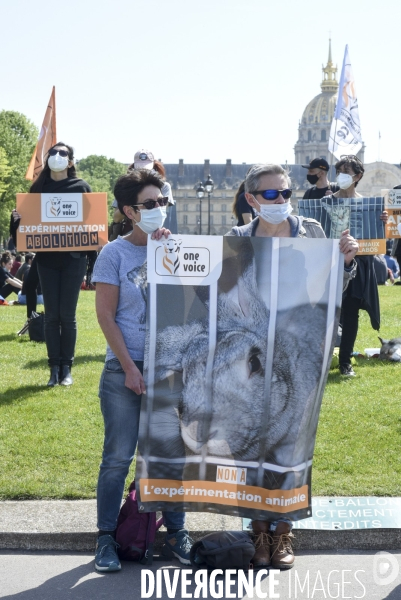 Journée mondiale des animaux dans les laboratoires, organisée par One Voice. Animal protection against animal testing.