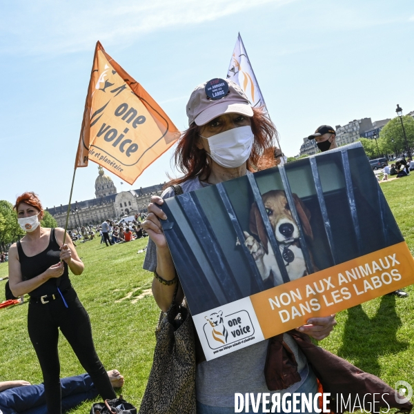 Journée mondiale des animaux dans les laboratoires, organisée par One Voice. Animal protection against animal testing.