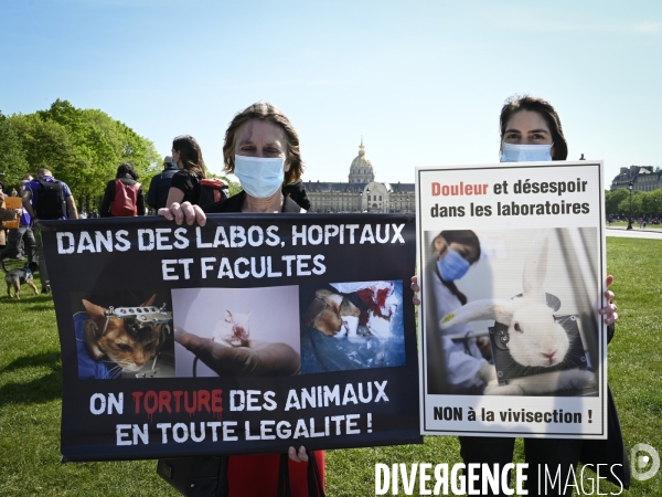 Journée mondiale des animaux dans les laboratoires, organisée par One Voice. Animal protection against animal testing.