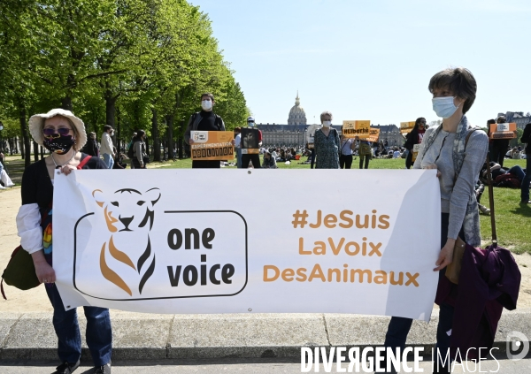 Journée mondiale des animaux dans les laboratoires, organisée par One Voice. Animal protection against animal testing.