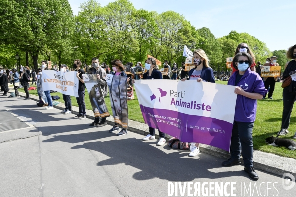 Journée mondiale des animaux dans les laboratoires, organisée par One Voice. Animal protection against animal testing.