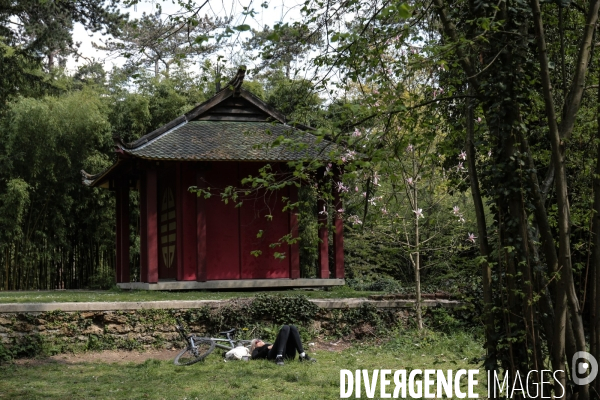 La renaissance du jardin colonial - le jardin d agronomie tropicale de paris