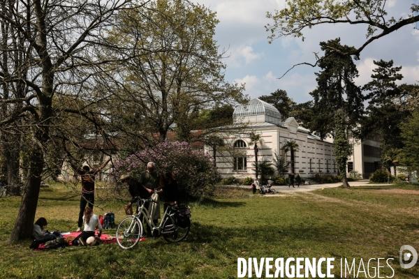 La renaissance du jardin colonial - le jardin d agronomie tropicale de paris