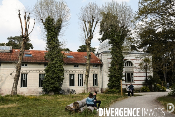 La renaissance du jardin colonial - le jardin d agronomie tropicale de paris