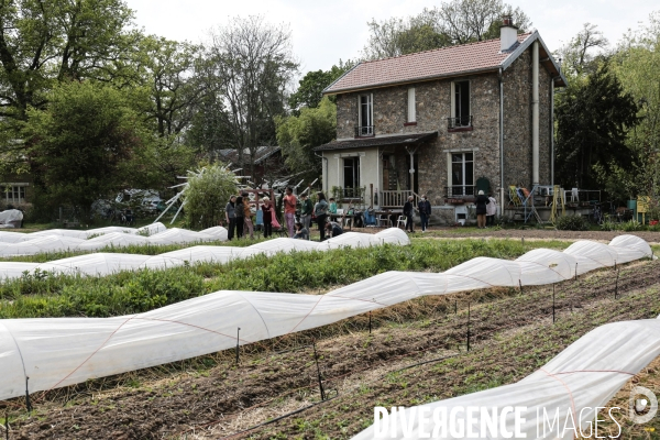 La renaissance du jardin colonial - le jardin d agronomie tropicale de paris