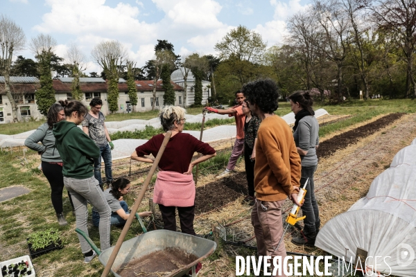 La renaissance du jardin colonial - le jardin d agronomie tropicale de paris