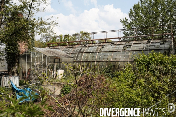 La renaissance du jardin colonial - le jardin d agronomie tropicale de paris