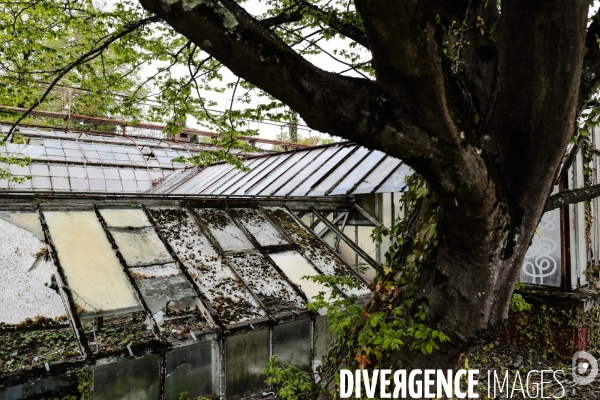 La renaissance du jardin colonial - le jardin d agronomie tropicale de paris