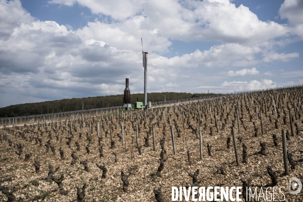 Sancerre, domaine Fouassier dans la vallée de la Loire