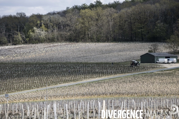 Sancerre, domaine Fouassier dans la vallée de la Loire