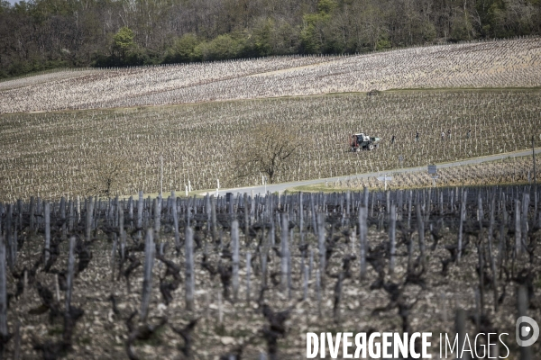 Sancerre, domaine Fouassier dans la vallée de la Loire