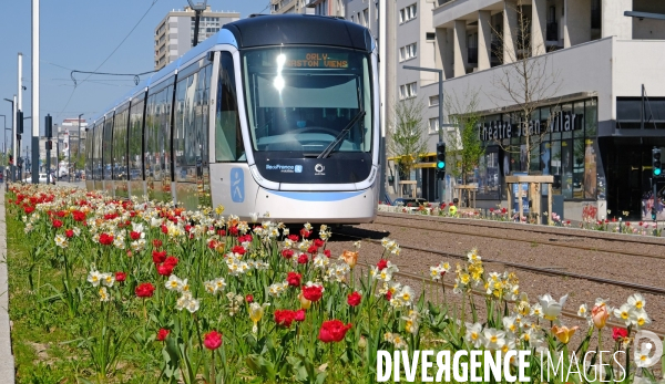 Tout beau, tout 9, un tramway nommé T 9