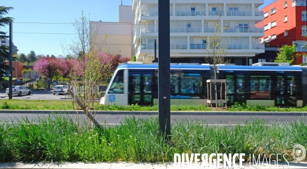 Tout beau, tout 9, un tramway nommé T 9