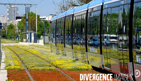 Tout beau, tout 9, un tramway nommé T 9