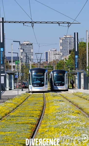 Tout beau, tout 9, un tramway nommé T 9