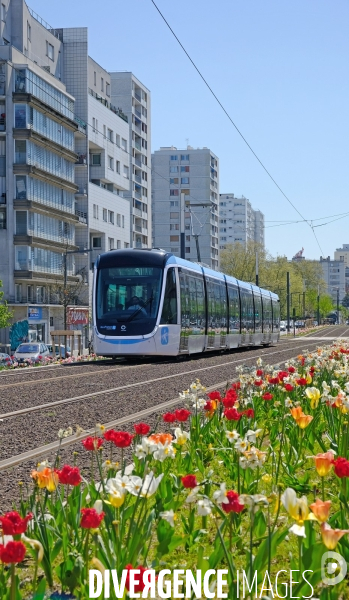 Tout beau, tout 9, un tramway nommé T 9