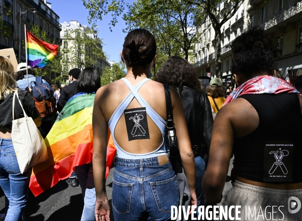 Marche lesbienne à Paris. Lesbian walk in Paris.