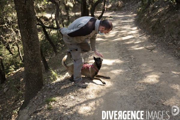 Newt, chien de détection