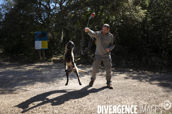 Newt, chien de détection
