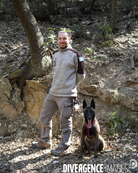 Newt, chien de détection