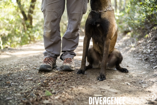 Newt, chien de détection