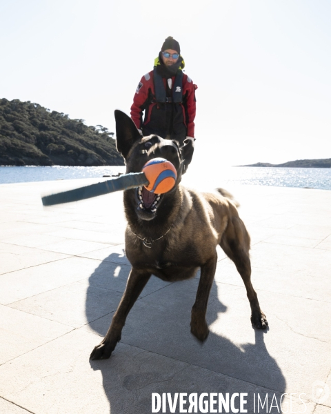 Newt, chien de détection