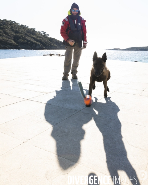 Newt, chien de détection